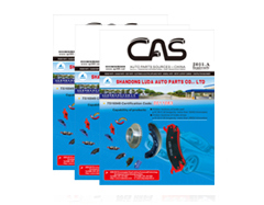 CAS全英文国际刊